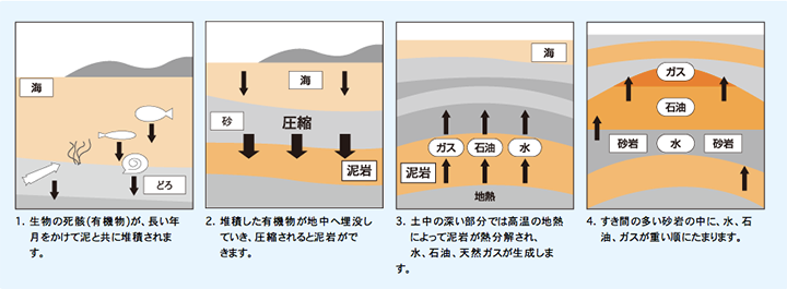 出典:東京ガス