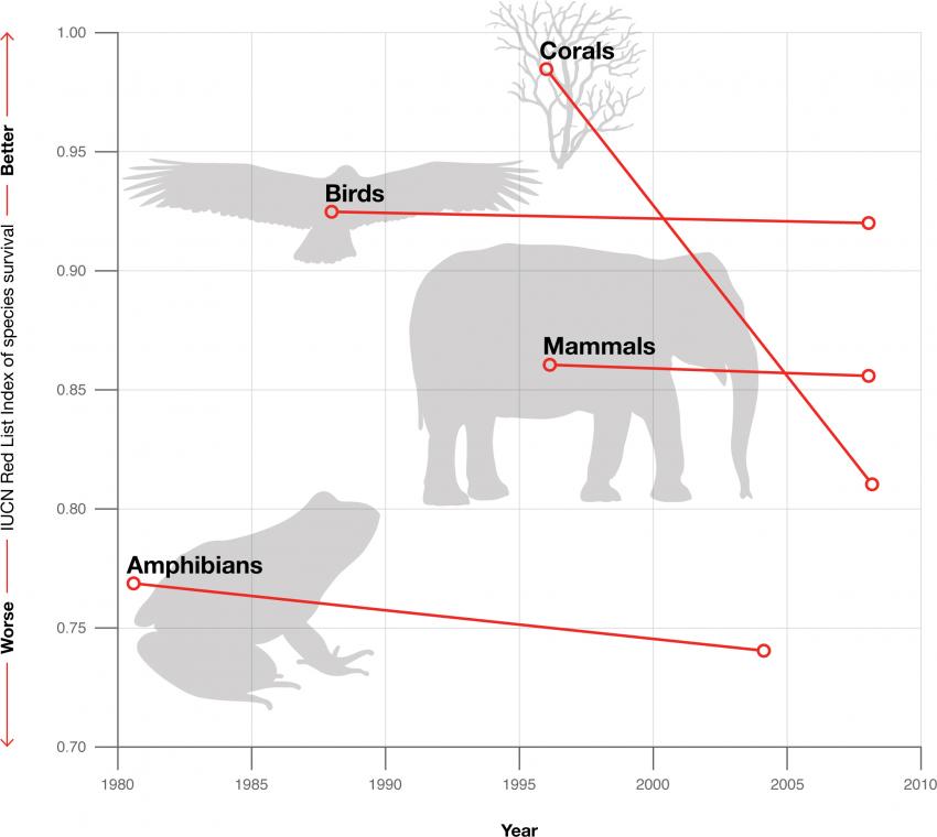 図)絶滅危惧種のレッドリスト