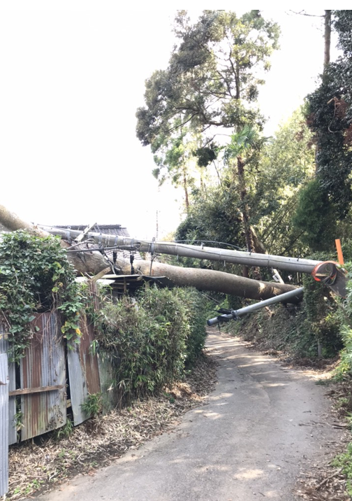 写真)千葉県内の台風被害の様子