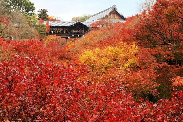写真)京都東福寺