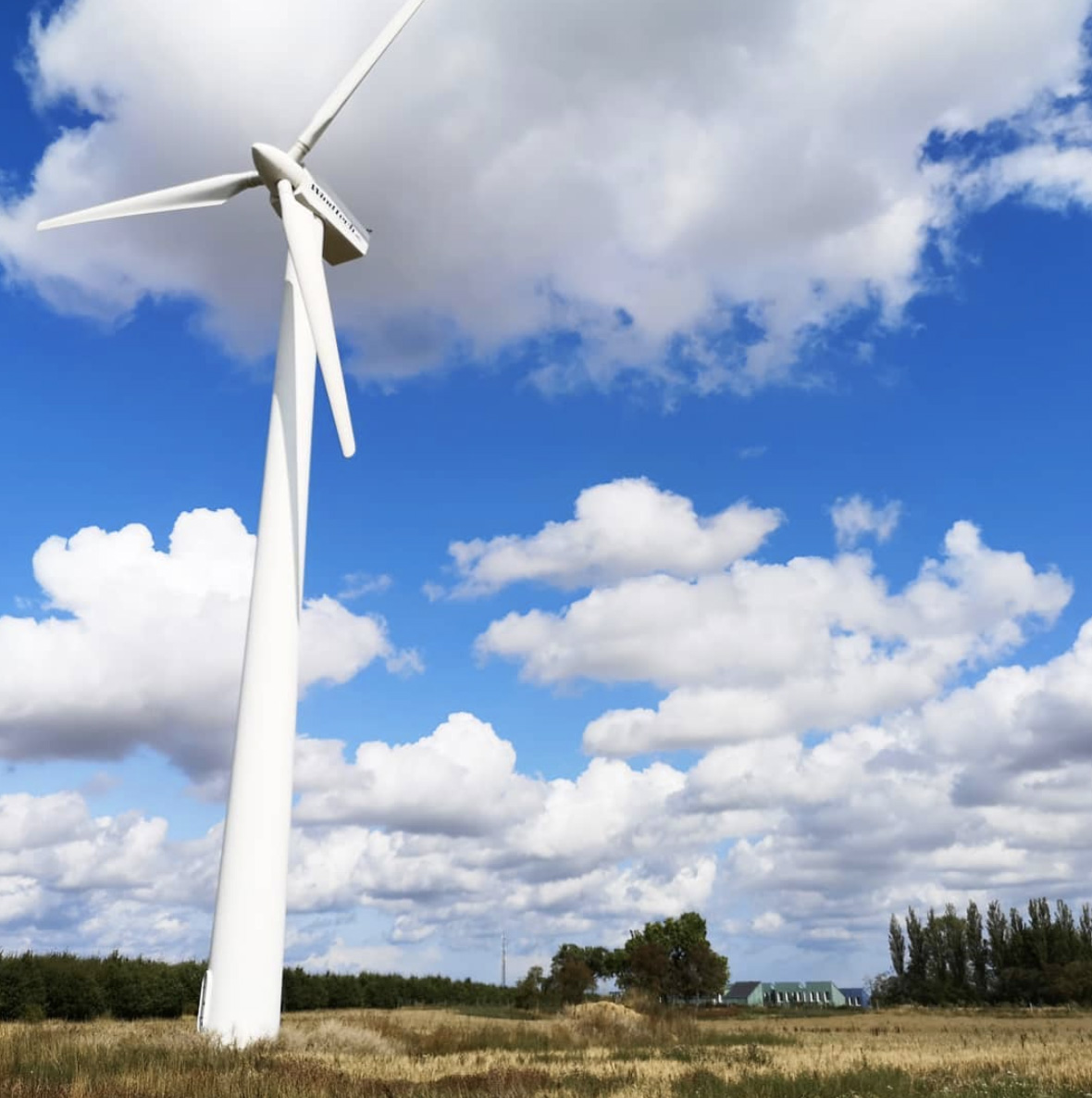 写真)敷地内の風力発電機と居住エリア(奥)