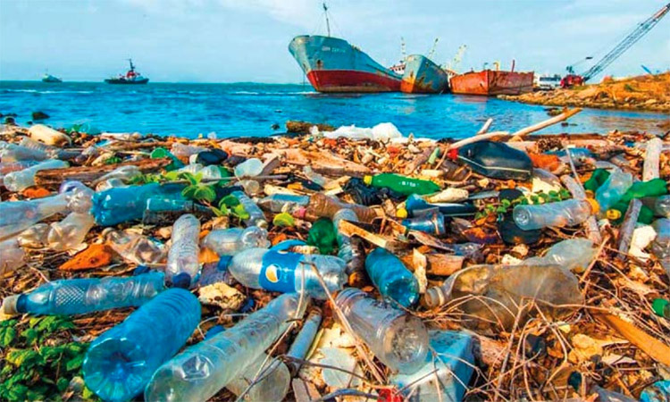 写真)港湾に滞積するプラスチックごみ