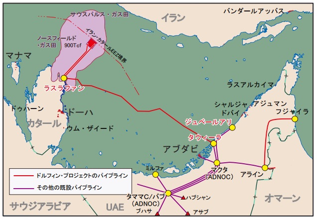 (図2)ドルフィン社のパイプライン