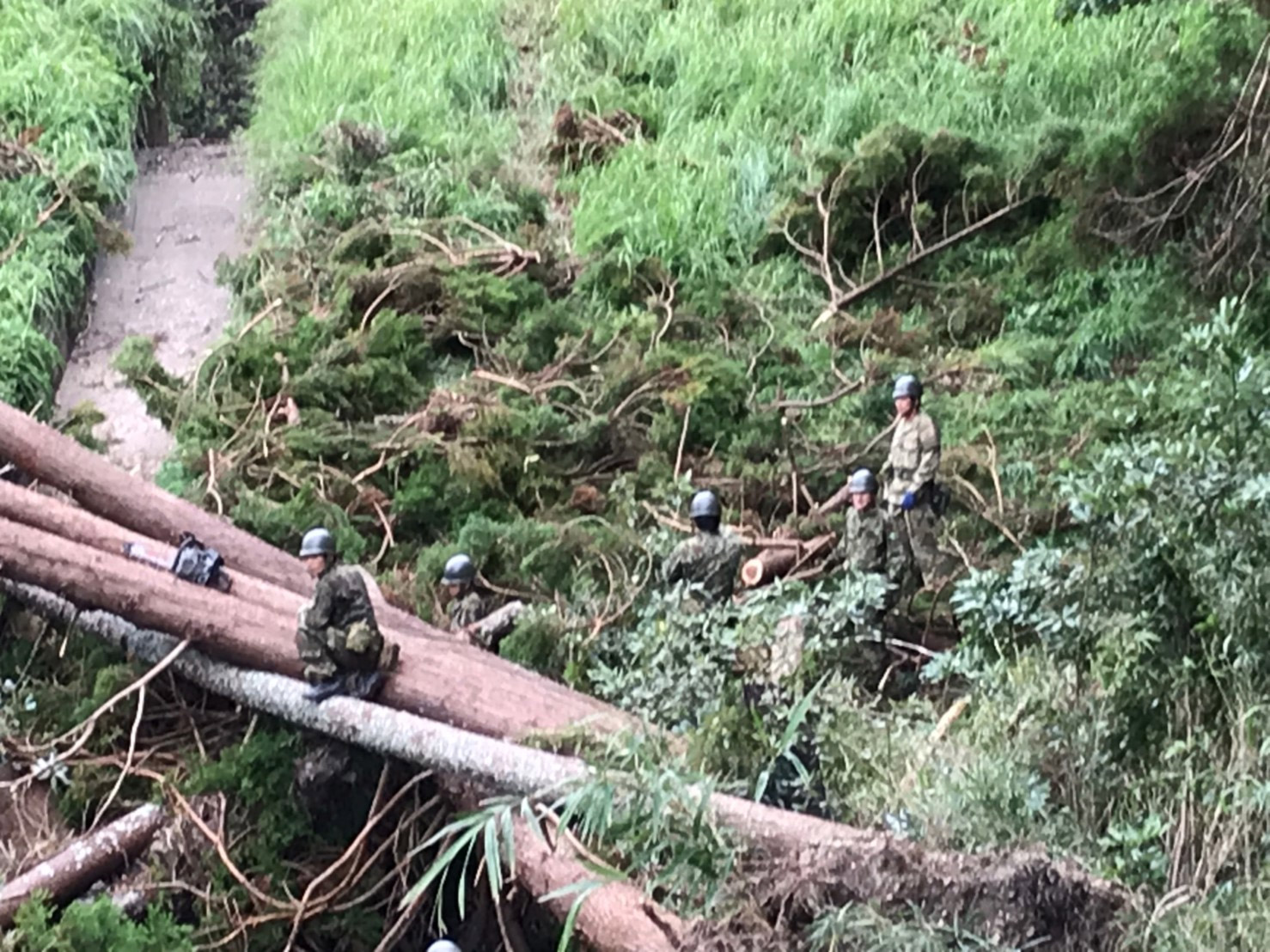 写真)台風15号による倒木などを処理する陸上自衛隊:千葉県(2019年9月22日)