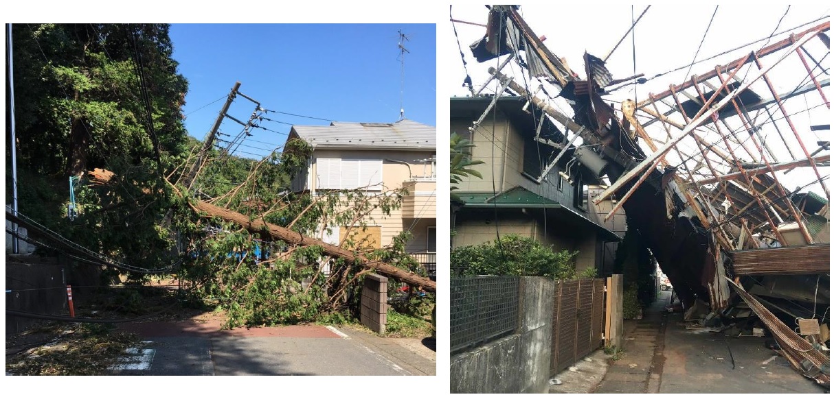 画像)台風15号「実際の被害の写真。なぎ倒された電柱(左)、電柱にかぶさる倒壊した家屋(右)」