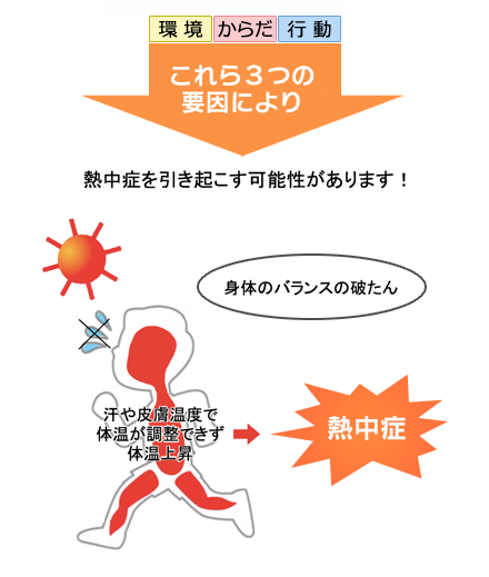 画像)熱中症のメカニズム