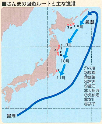 出典)全国サンマ棒受網漁業協同組合
