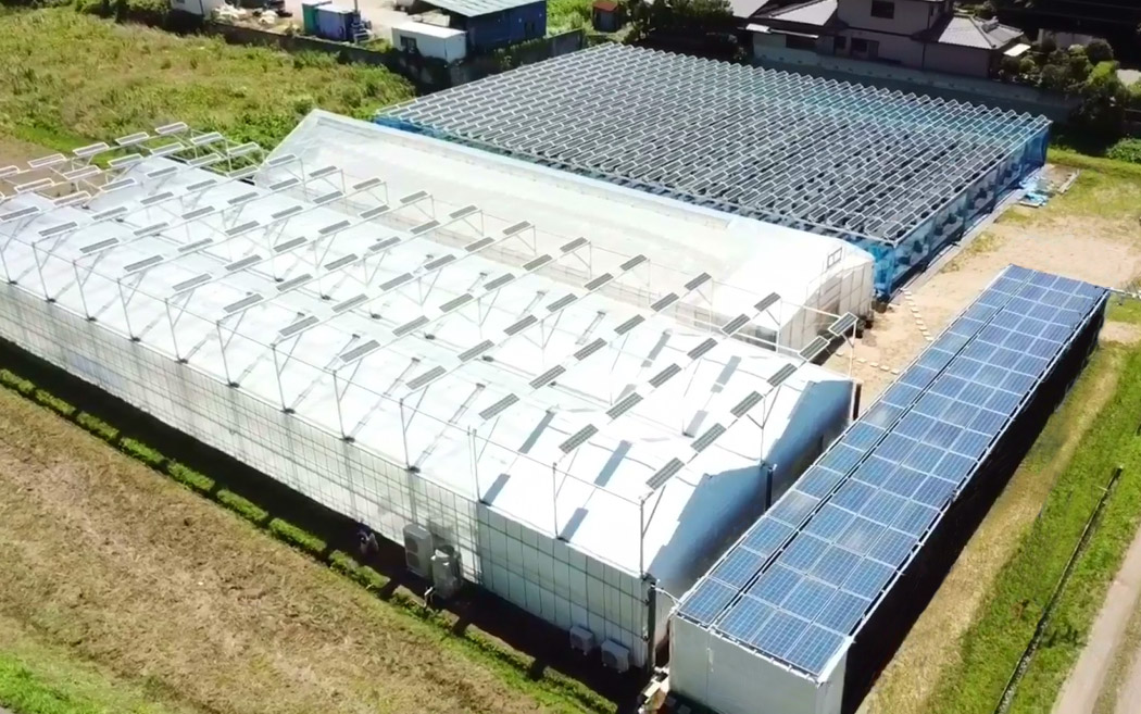 写真)「SUNファーム市原」における自家消費の様子