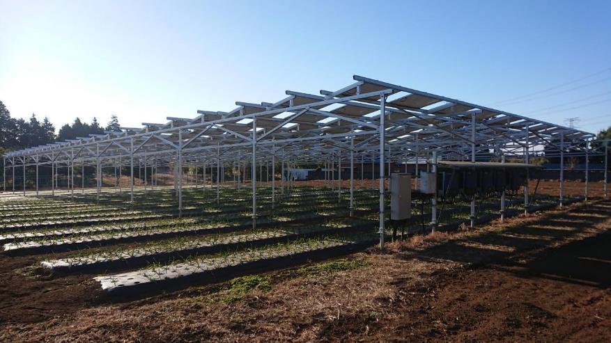写真)千葉大木戸営農型太陽光発電所