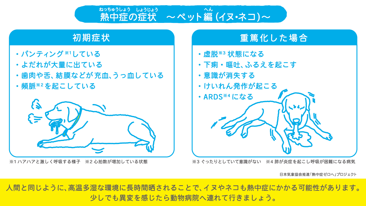 図)熱中症の症状~ペット編(イヌ・ネコ)~