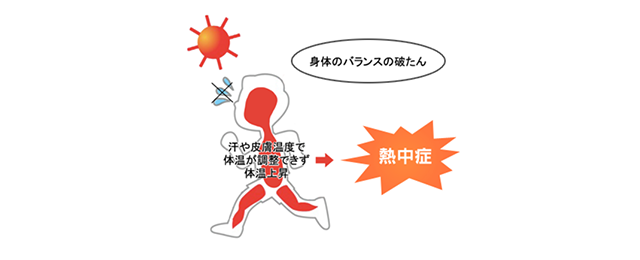 図3:熱中症になった場合の体温調整反応