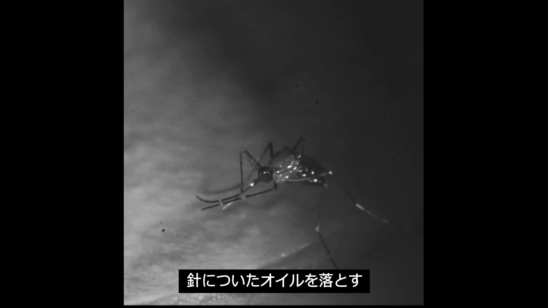 出典) 花王 蚊が嫌う感触