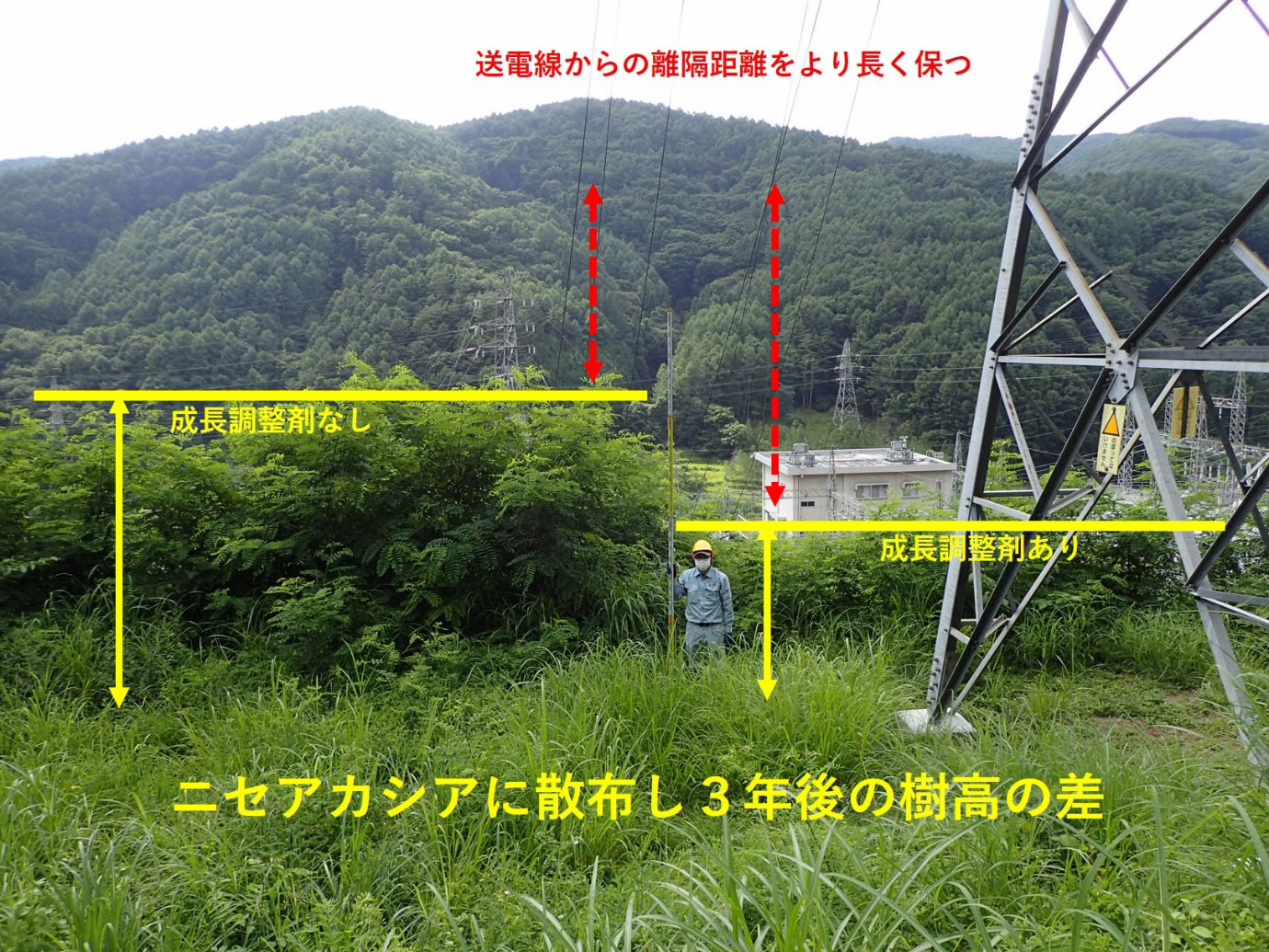 写真)中部電力株式会社