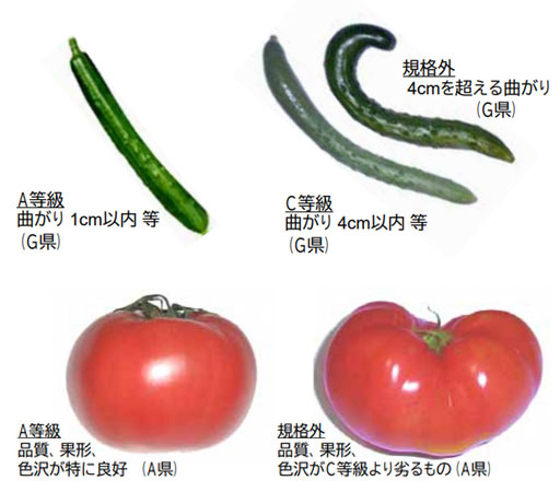 写真)規格外野菜の比較