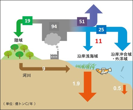 図）ブルーカーボン