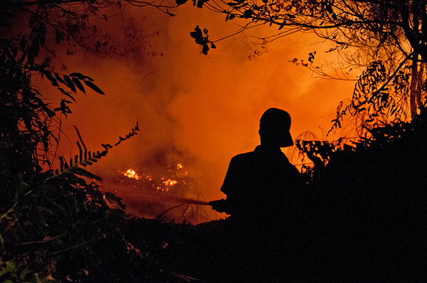 写真8:カリマンタン島パランカラヤの森林火災 深夜の消火活動(2015年10月)