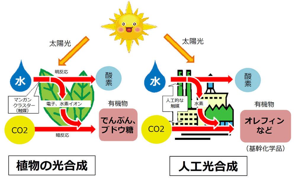 図)「光合成」と「人工光合成」の概念