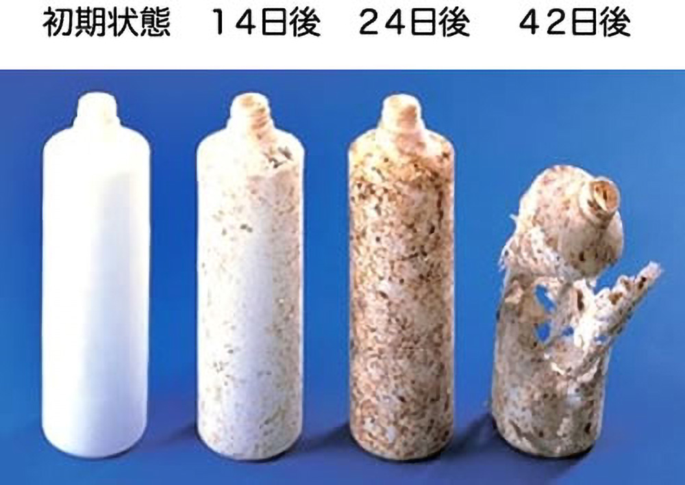 写真) 生分解性プラスチック製品が分解される様子