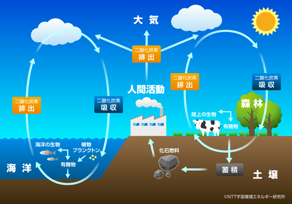 図)炭素循環の概念図