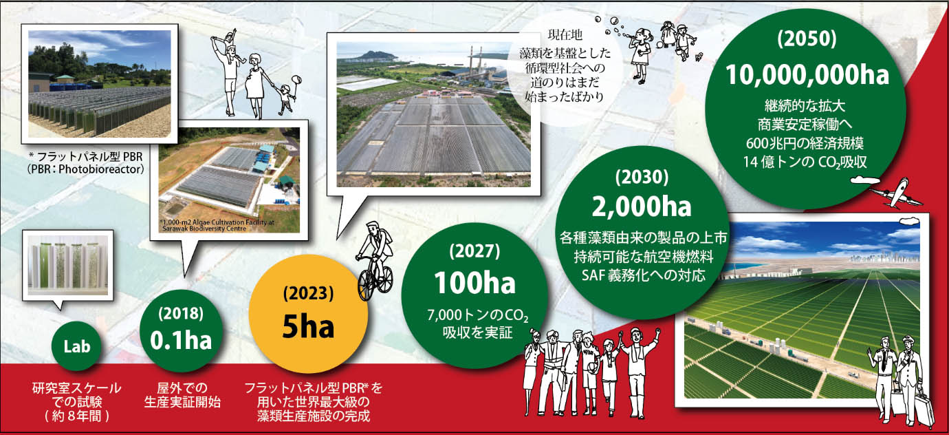 図)藻類生産規模のロードマップ