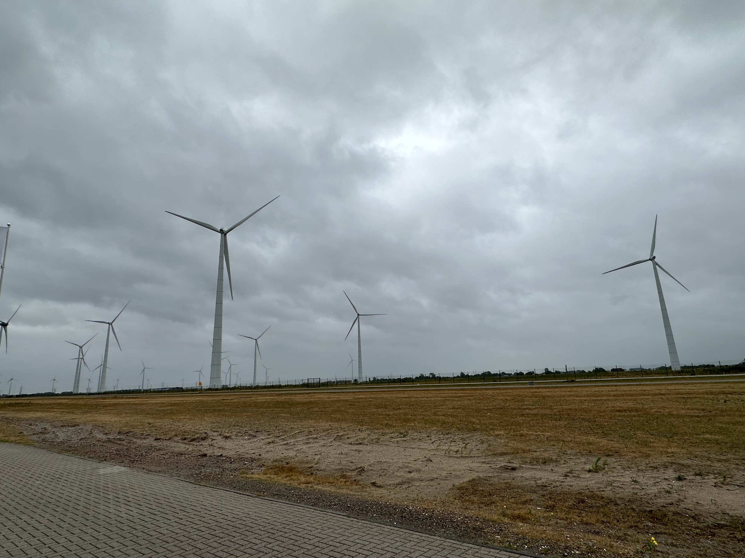 写真)エームスハーフェン港の風力発電設備