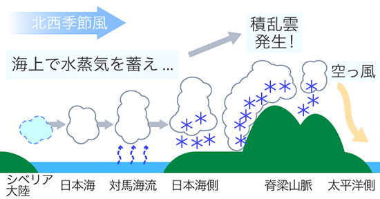 図1:西高東低 太平洋側に乾燥した風が吹くわけ