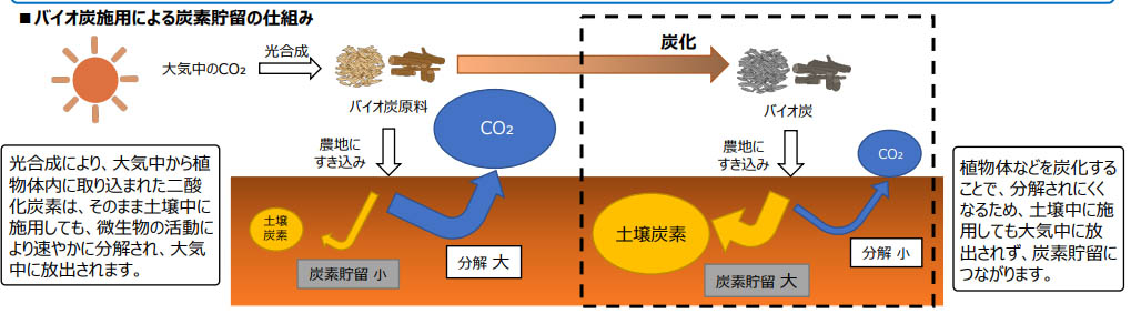 図)バイオ炭施用による炭素貯留の仕組み