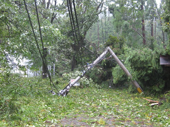 写真1:台風21号で倒壊した電柱