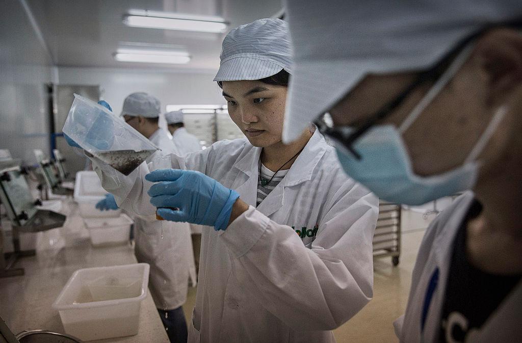 写真)蚊の培養をおこなう孫文大学・ミシガン大学共同熱帯病ベクター制御センター。ボルバキアに感染した数百万匹のオスの蚊を飼育している。2016年6月21日に中国・広州
