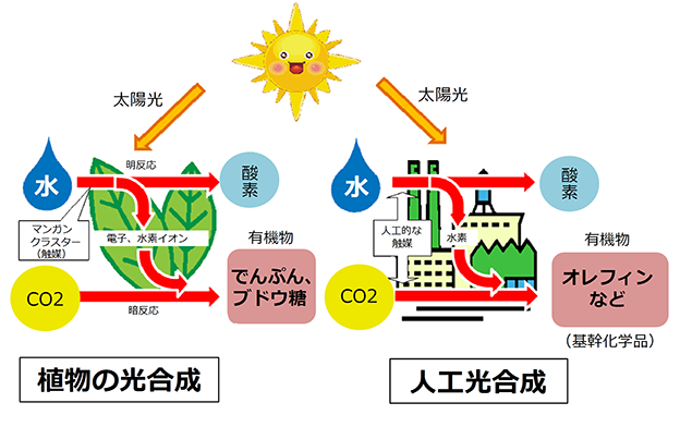図)人工光合成の概念
