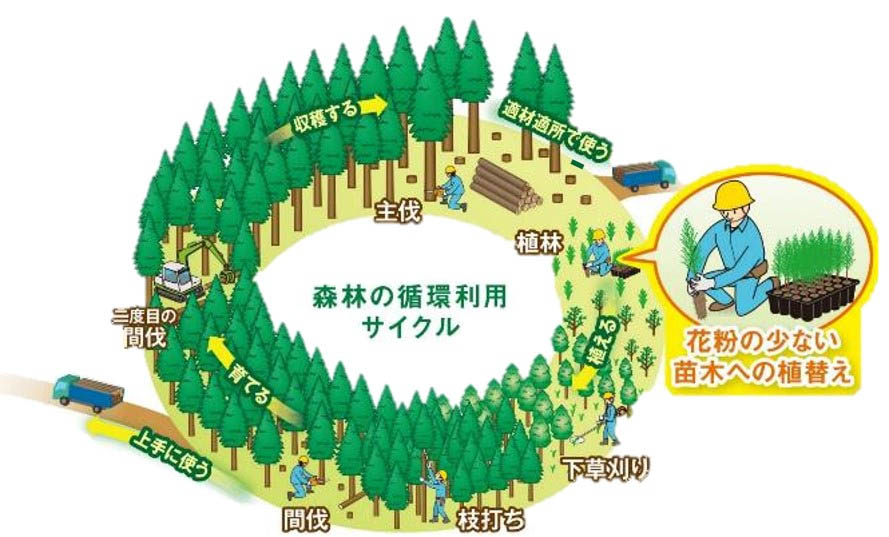 図)花粉症発生源対策