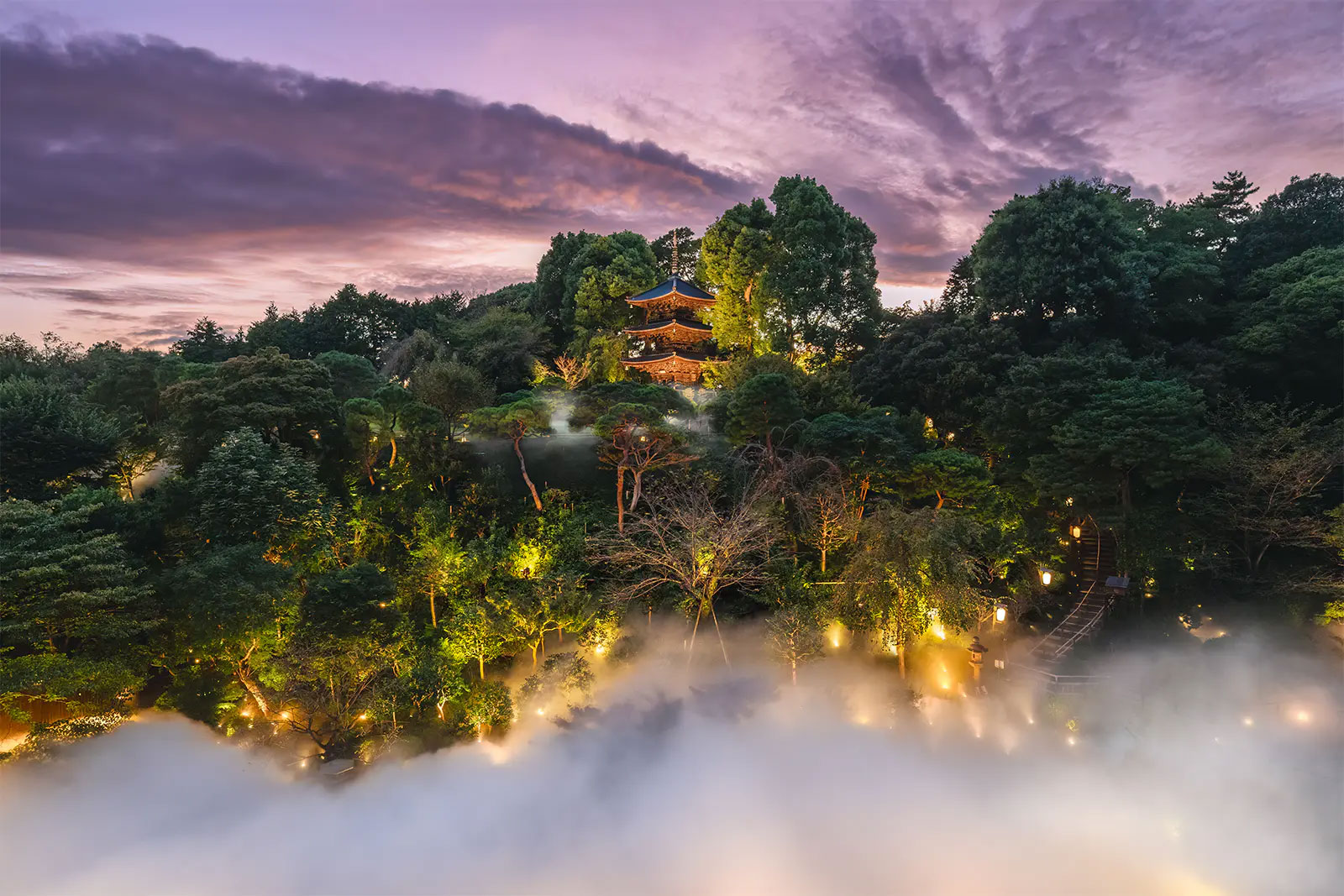 写真)霧の庭園演出「東京雲海」