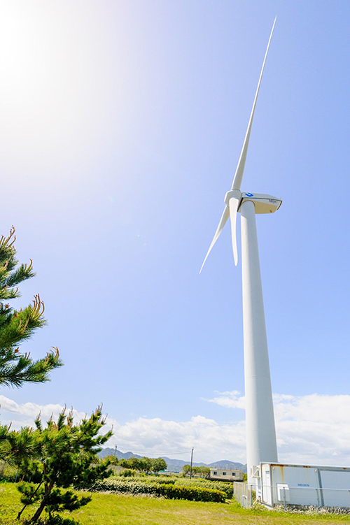 写真)風電君
