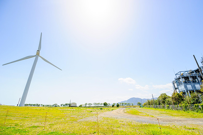 写真)風電君