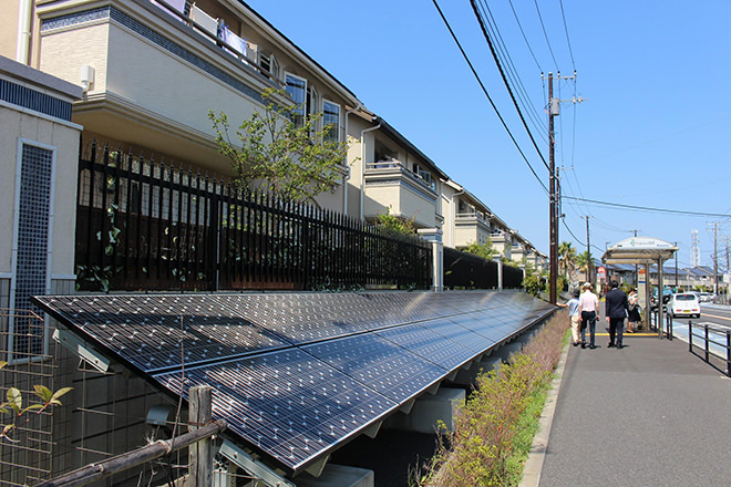 写真)太陽光発電パネル