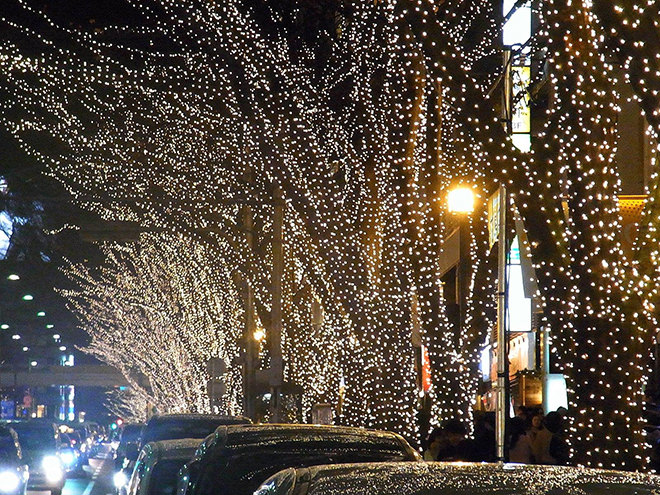 写真)年末恒例イルミネーションに輝く沿道の木々(東京都表参道)